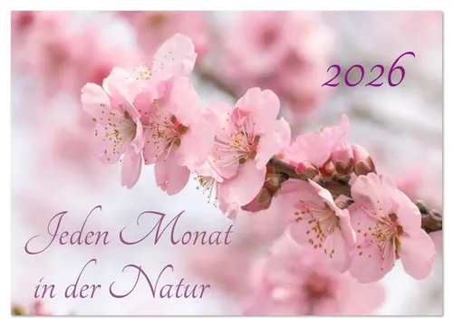Wandkalender 2026 von Christina Neuhaus-Petrosino - Jeden Monat in der Natur - Entdecken Sie die Schönheit der Natur in 14 eindrucksvollen Bildern. Dieser Kalender bringt die Stimmungen der Jahreszeiten direkt in Ihr Zuhause. Ideal für Naturliebhaber!
