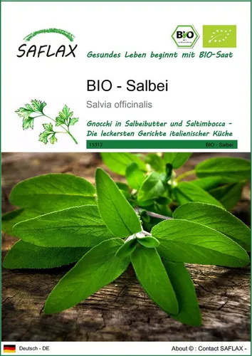 SAFLAX Kräutersamen SAFLAX - Samen - BIO - Salbei