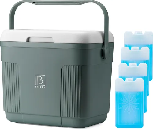 Brisby Coolbox 22L