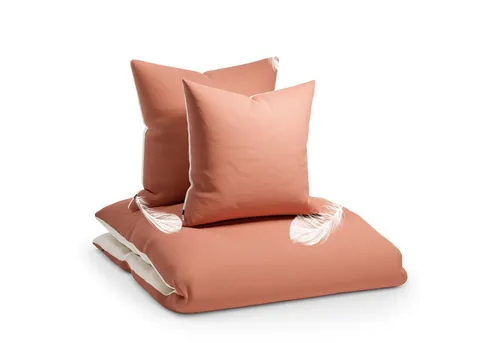 sleepwise Bettwäsche 240x220 – Traumhaft Weich & Atmungsaktiv - Bettwäsche-Set aus weicher Mikrofaser, ÖKO-TEX zertifiziert, bügelfrei und knitterfrei für höchsten Schlafkomfort.