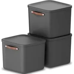 Rotho Maloja 3er-Set Aufbewahrungsbox 40l - Praktische Ordnungslösung - Aufbewahrungsbehälter mit Deckel, 40 Liter Volumen, stapelbar und pflegeleicht – ideal für Kinderzimmer, Bad oder Küche!