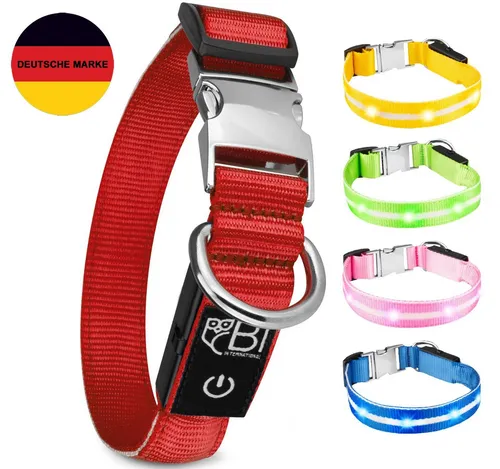 Petsation Hunde-Halsband Leuchthalsband für Hunde [Das Original] Leuchtendes LED Hundehalsband
