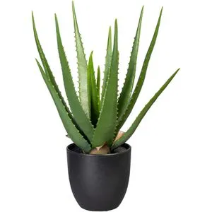 Creativ-green Kunstpflanze Aloe Vera, 47 cm hoch - Künstliche Pflanze für Innenräume, pflegeleicht und langlebig. Ideal für Wohnräume, Büros und Gastronomie mit flexiblen Blättern zum individuellen Formen.