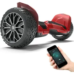 Bluewheel Hoverboard HX510