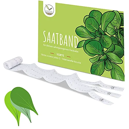 5m Saatband Feldsalat Samen (Verte a coeur plein 2 - Valerianella locusta) - Knackig, frischer Salat ideal für die Anzucht im Garten, Balkonkasten & Gemüsebeet