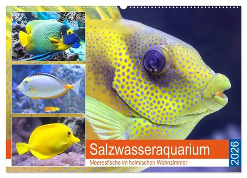 Rose Hurley | Salzwasseraquarium Kalender 2025 - Entdecken Sie traumhaft schöne Meeresfische mit diesem Kalender. Ideal für Aquaristik-Fans und als stilvolles Geschenk für Hobbys und Freizeit.