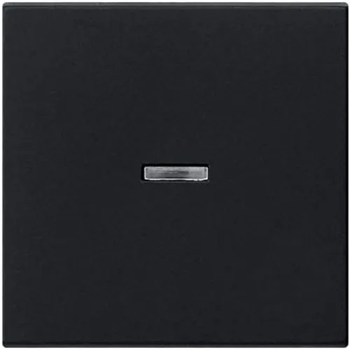 GIRA Schalter GIRA 3290005 Wippe Kontrollfenster System 55 Schwarz matt (lackiert)