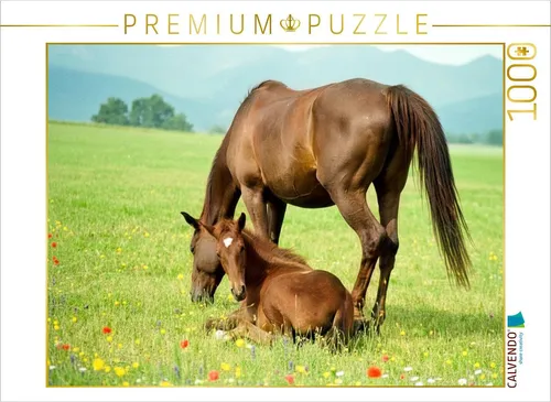 CALVENDO Puzzle Warmblutstute und Fohlen 1000 Teile