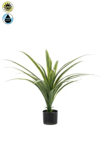 Künstliche Zimmerpflanze Drachenbaum GAZRON, 80 cm - Schöne Kunstpflanze in lebendigem Grün, ideal zur dekorativen Gestaltung von Innenräumen. Pflegeleicht und langlebig, bringt sie frisches Flair in Ihr Zuhause.
