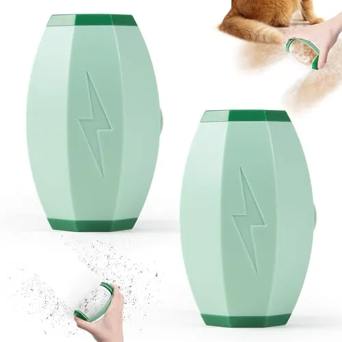 Fusselrolle wiederverwendbar – Tierhaarentferner Kleidung mini, abwaschbar und tragbar, zum Hundehaare entfernen auf Kleidung, Sofa, Auto und mehr (2 Stück, Grün)