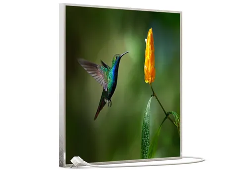 STEINFELD Heizsysteme Infrarotheizung, Bild, 350W 60x60cm, Inklusive Thermostat, viele Motive