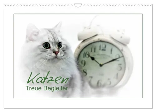 Katzen - Treue Begleiter (CH - Version) Wandkalender 2026 - Wandkalender DIN A3 quer mit liebenswürdigen Samtpfoten für jeden Monat. Ideal für Katzenliebhaber und als Geschenk für 31.99 €.