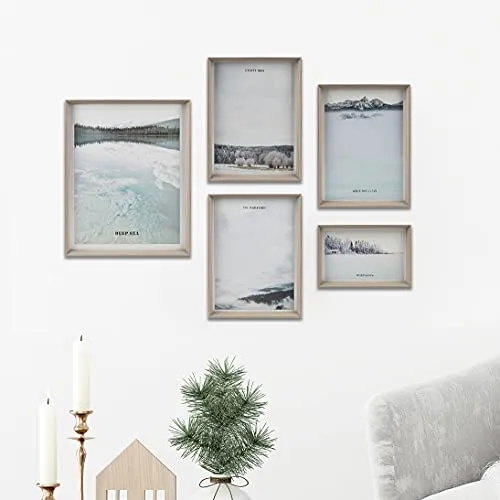 Visario gerahmtes Bilder Set 5 Teile Nature two 4509 deutsche Marke und Lager. Fertig zum aufhängen, toller Schmuckrahmen alles inklusive !