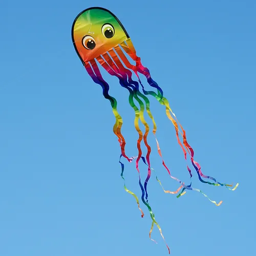 CiM Flug-Drache Draki RAINBOW, 25x160cm mit Tentakelschwänzen fertig aufgebaut inkl. Drachenschnur