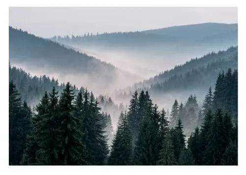 WallArena Vlies Fototapete Berge Wald im Nebel - 3D Effekt für Wohnzimmer und Schlafzimmer - Stilvolle Motivtapete 416x254 cm für ein einzigartiges Raumambiente. Einfache Montage und hochwertige, langlebige Materialien sorgen für brillante Farben und eine angenehme Atmosphäre.