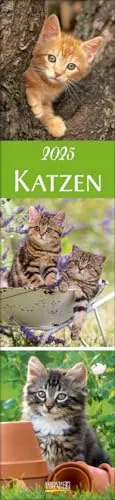 Katzen Langplaner 2025: Langplaner