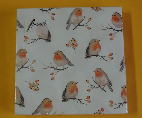 Servietten Rotkehlchen viele Hagebutte kleine Motive Vogel 1 Packung OVP 20
