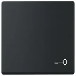 Busch-Jaeger 2520 TR-885 Wippe 1-fach mit Symbol 