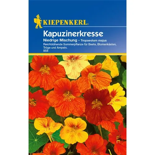 Kiepenkerl, Kapuzinerkresse, Tropaeolum majus Niedrige Mix