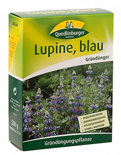 Quedlinburger 205606 Lupine blau, 500 g (Lupinensamen) von Quedlinburger
