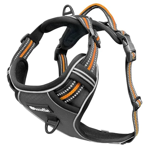 bluzelle Hundegeschirr für kleine Hunde, Reflektierendes Anti-Zug Brustgeschirr mit GPS-Tasche