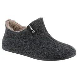 VERBENAS Edward Hausschuh von Verbenas