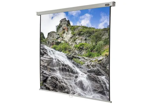 celexon Professional Rollo-Leinwand 85