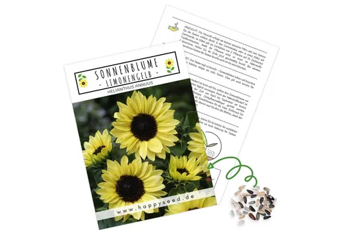 HappySeed Blumensamen Sonnenblumen Samen - Helianthus annuus (Limonengelb), Sonnenblumen