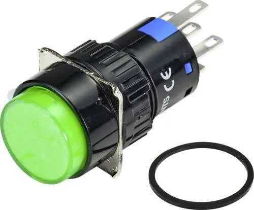 TRU COMPONENTS TC-9219048 Leuchtdrucktaster 250 V/AC 3A 1 x Ein/(Aus) tastend Grün (Ø) 18mm IP65 1St.