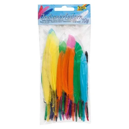 Produktbild Folia Indianerfedern, bunt, 10 g