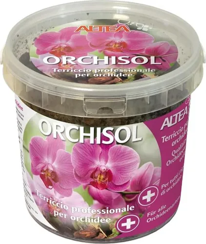 Altea Professional Erde Orchideen 2.5 in schwarz von Sonstige Verlage