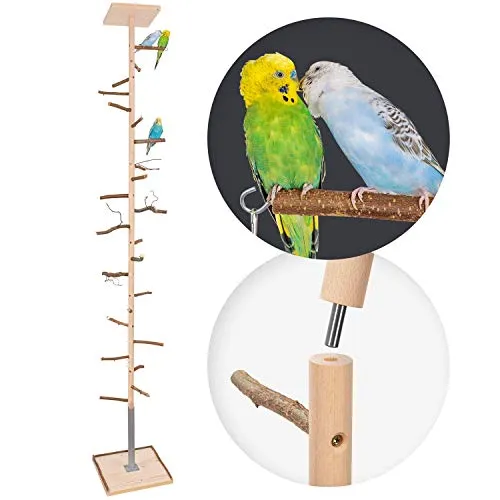 Vogelleitern & -sitzstangen von Vogelgaleria