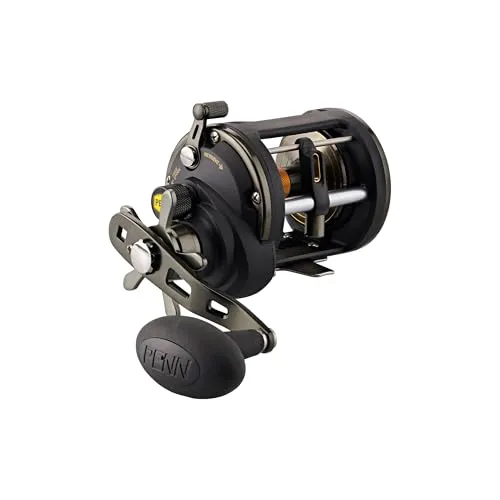 PENN Squall II 20 Level Wind Reel – Hochwertige Angelrolle - Angelrollen mit Fast Gear Access, 3+1 Edelstahl-Kugellager und leichtem Graphitrahmen für müheloses Angeln.