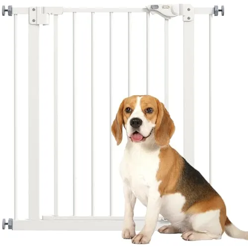 PawHut Hundegitter Schutzgitter für Haustier - Trenngitter für Haustiere, stabil und langlebig aus behandeltem Eisen, ideal für den Innenbereich und schützt Kinder vor Haustieren.