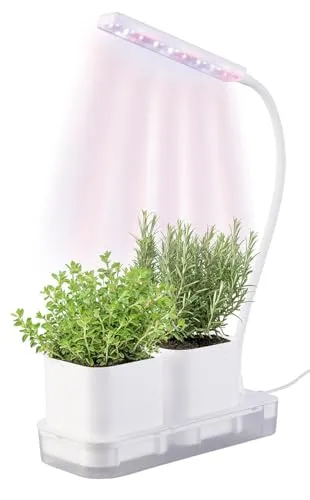 PEARL Anzuchtkasten mit Licht: Mini-Gewächs- & Anzucht-Station, 2 Töpfe, Wachstums-LEDs & Wassertank (Pflanzlicht, Anzuchtlampe, LED Beleuchtung)