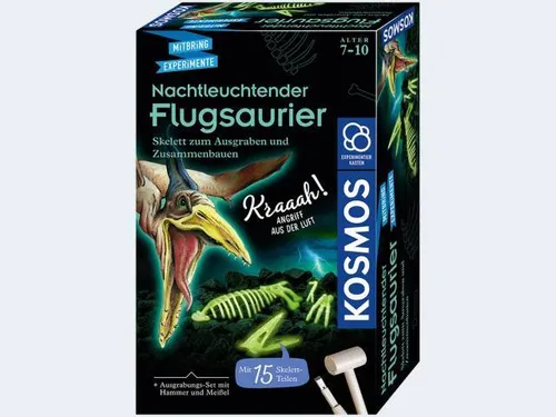 KOSMOS 636166 Nachtleuchtender Flugsaurier von KOSMOS