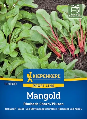 Kiepenkerl Profi-Line Mangoldsamen Rhubarb Chard/Pluton 1026300 - Mangoldsamen mit einem Inhalt für 2 bis 3 lfd. Meter und einer Wuchshöhe von 5 bis 10 cm - Saatgut