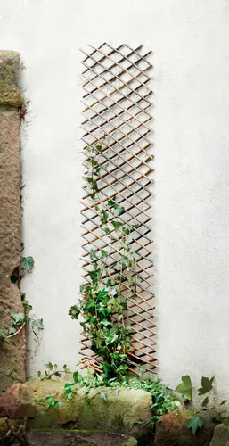 Frank-Flechtwaren Rankhilfe, variabel