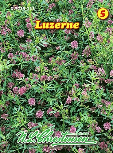 Luzerne mehrjährig N.L.Chrestensen Samen 27723113 - Kräutersamen & -pflanzen, hochwertige mehrjährige Luzerne-Samen für nachhaltigen Anbau und Ertrag.