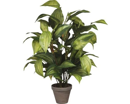 Kunstpflanze Funkie Hosta Ø 40 H 65 cm grün - Blumen & Künstliche Pflanzen, dekorative Kunstpflanze mit realistischem Aussehen, ideal für eine pflegeleichte und grüne Raumgestaltung.