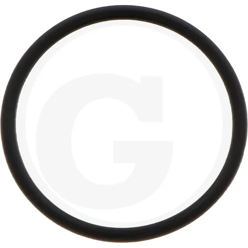 Kärcher O-RING 21X1,5  | 6.363-536.0 | 4039784452770