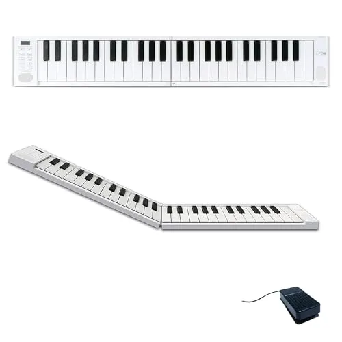 Blackstar FP-49 Touch 49 Tasten - Audio-Controller mit berührungsempfindlichen Tasten, ideal für unterwegs. 8 Stunden Akkulaufzeit und USB-MIDI-Funktion für kreative Musiker.