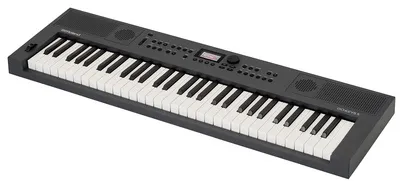 BOTMO Roland GO:KEYS 5 - 61-Tasten Musik Creation Keyboard, ZEN-Core Engine mit über 1000 Sounds und einfacher Bedienung für kreative Musiker