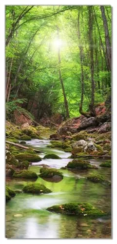 Wallario Selbstklebende Türtapete Fluss im Wald in schwarz von Wallario