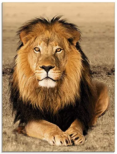 ARTland Wanddeko Glasbilder Wandbild Glas Bild einteilig 60x80 cm Hochformat Afrika Safari Tiere Löwe Savanne Natur Porträt T5RJ