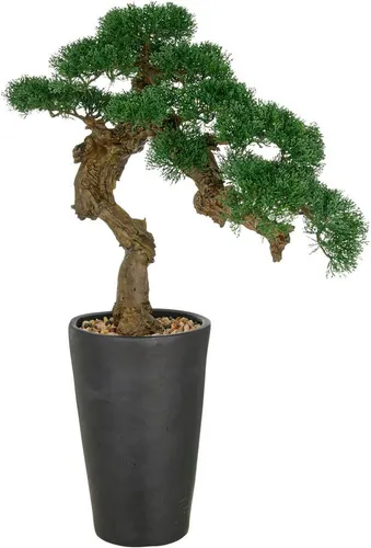 Kunstbonsai Zeder 80 cm - Creativ green - Künstliche Pflanzen, hochwertiger Bonsai in grünem Design, ideal für pflegeleichte Raumgestaltung und stilvolle Akzente.