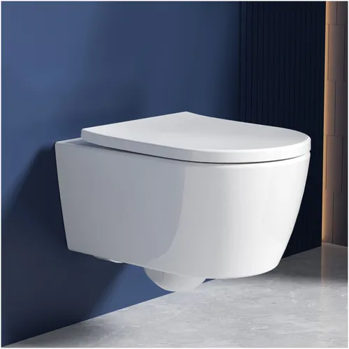 Rainsworth Flachspül-WC Spülrandlos mit Soft-Close