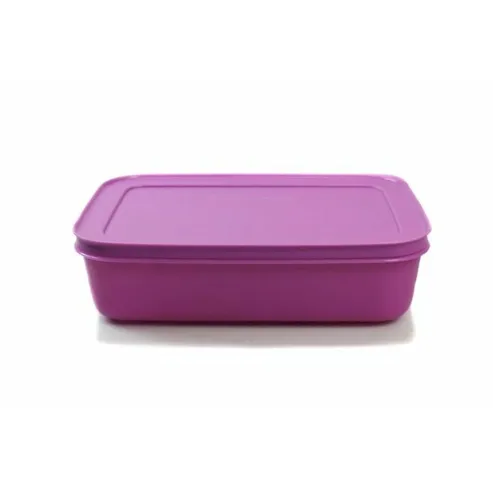 TUPPERWARE Gefrier-Behälter 1,0 L von Tupperware