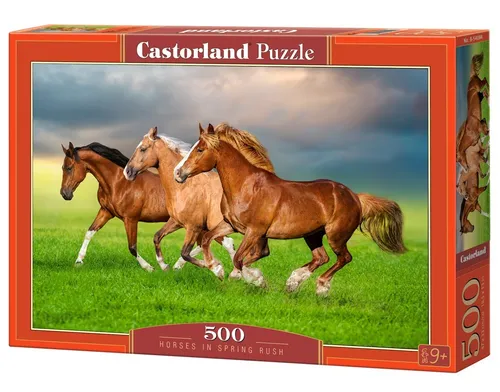 Castorland Puzzles von Castor