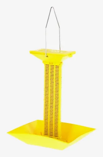 Fliegen-Köderstation